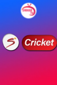 Super Sports Cricket