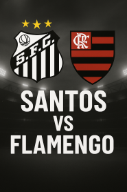 Santos vs Flamengo