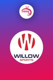 Willow Sports